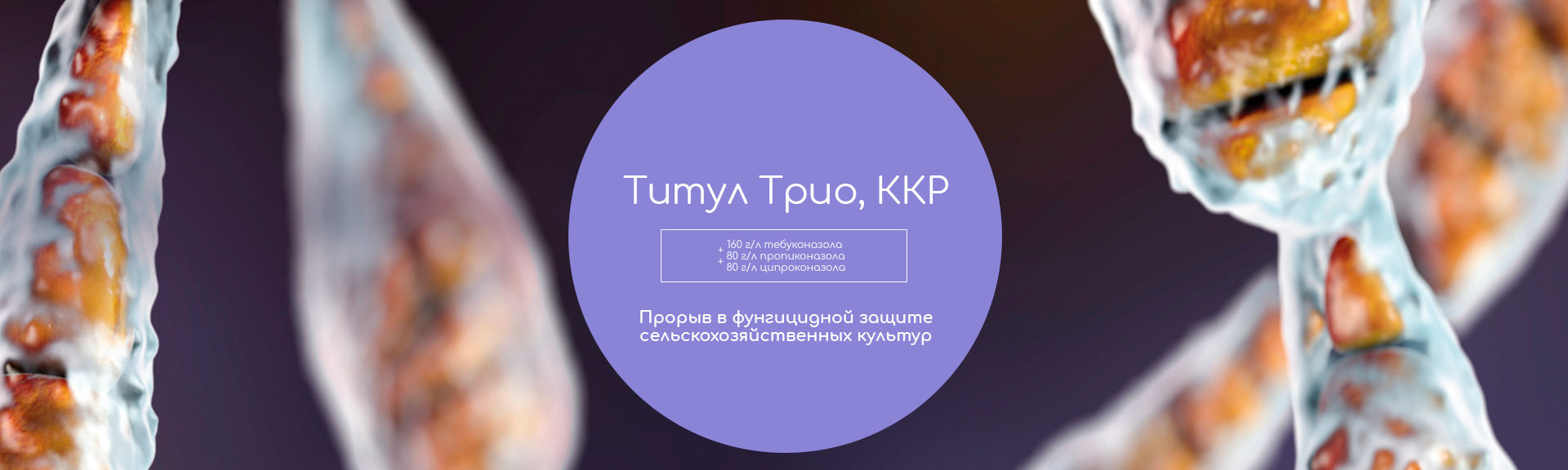 Титул Трио, ККР
