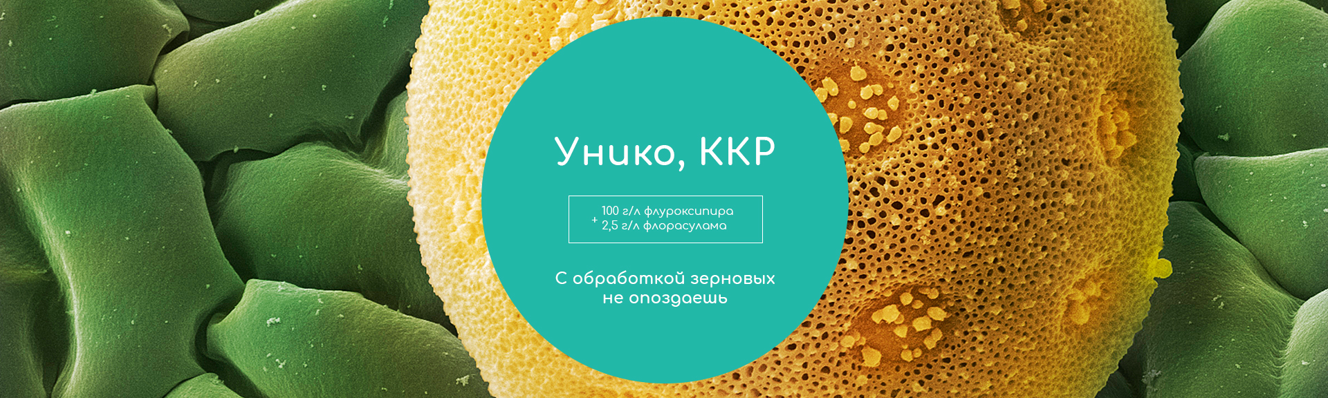 Унико, ККР