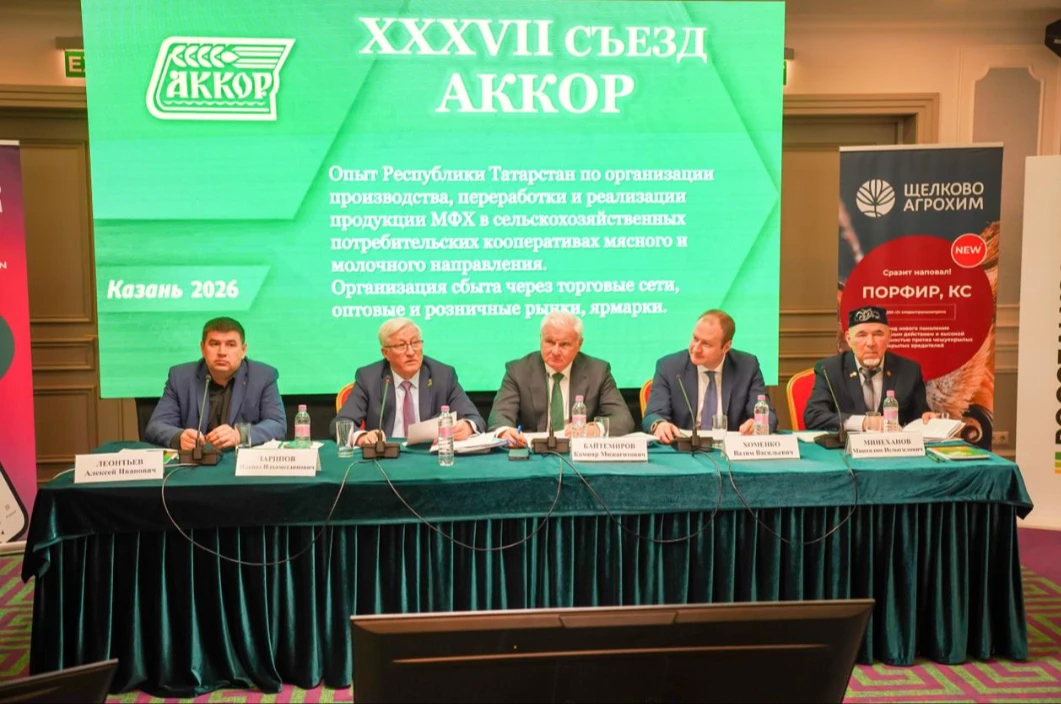 01fd7bd2-a4bf-4aec-86f1-5d31c940bdcf.jpg 01fd7bd2-a4bf-4aec-86f1-5d31c940bdcf.jpg