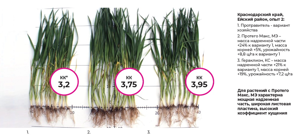 Протего Макс - Полевые результаты3.jpg Протего Макс - Полевые результаты3.jpg