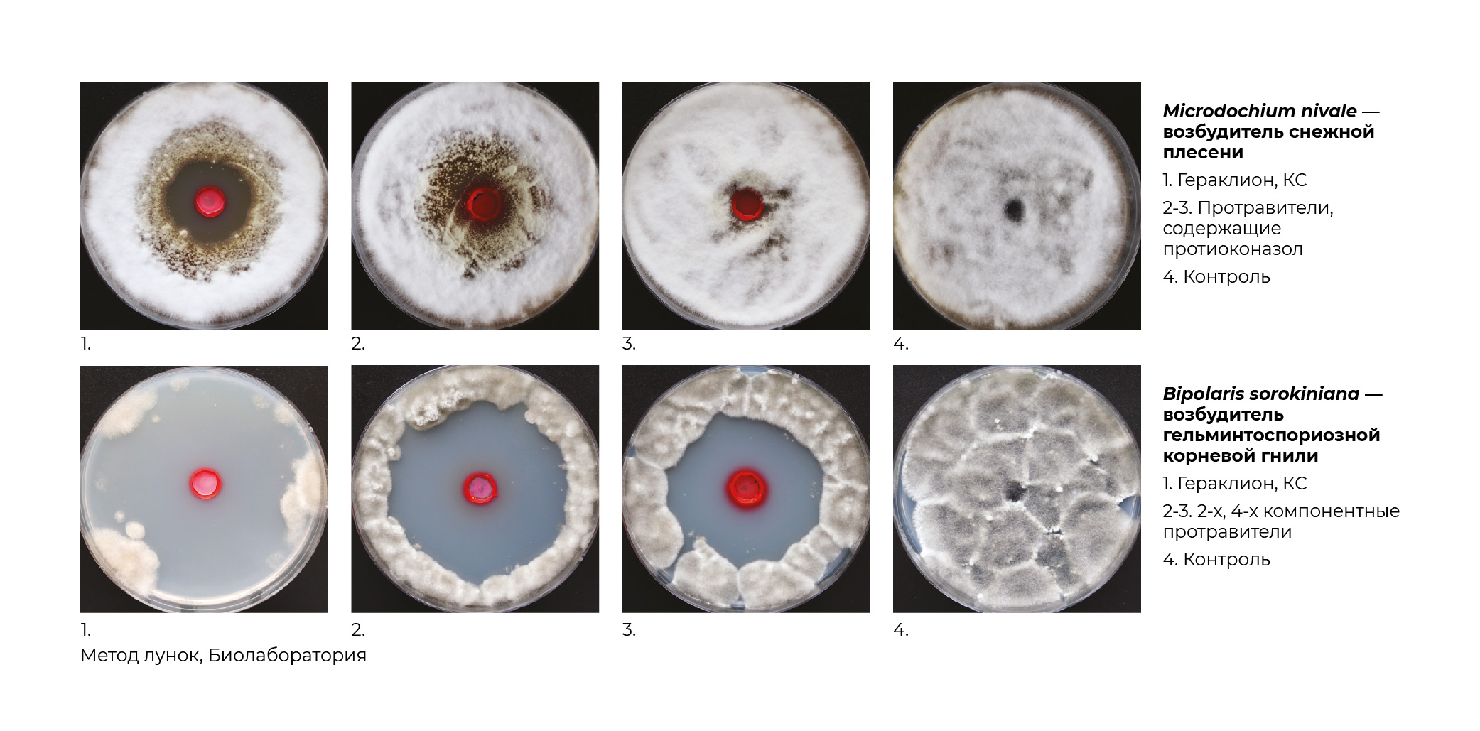 Geraklion_ (1).jpg Geraklion_ (1).jpg