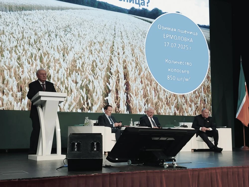 ea6943a1-d2a8-4ecd-b9ca-8168073d71a0.jpg ea6943a1-d2a8-4ecd-b9ca-8168073d71a0.jpg