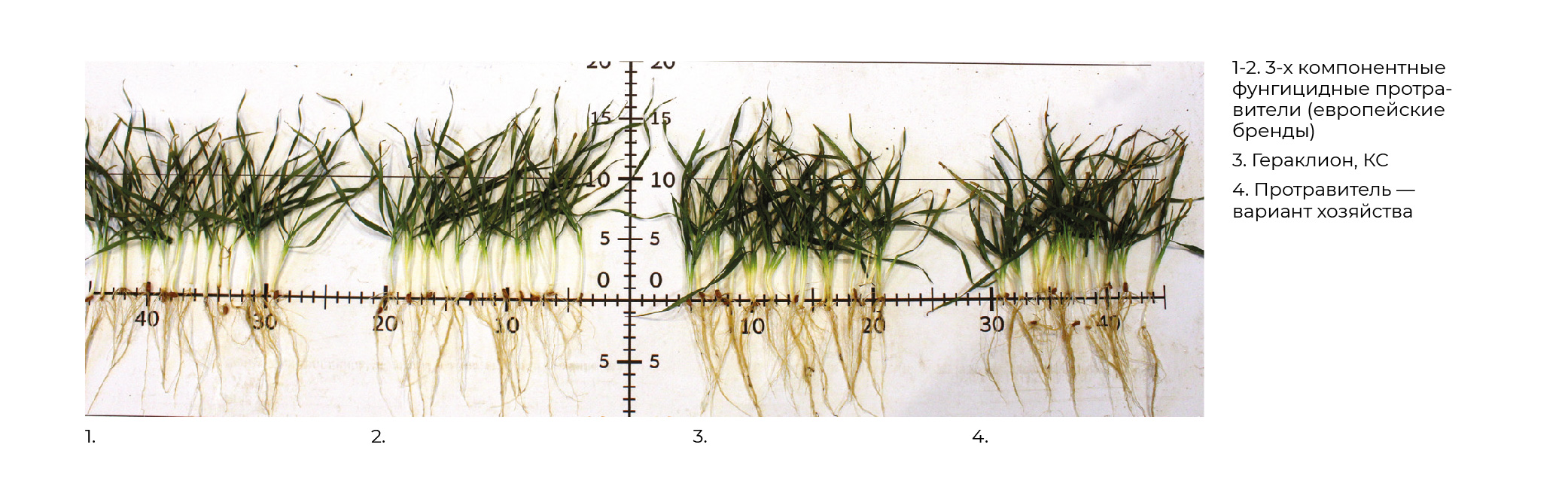 Geraklion_ (2).jpg Geraklion_ (2).jpg