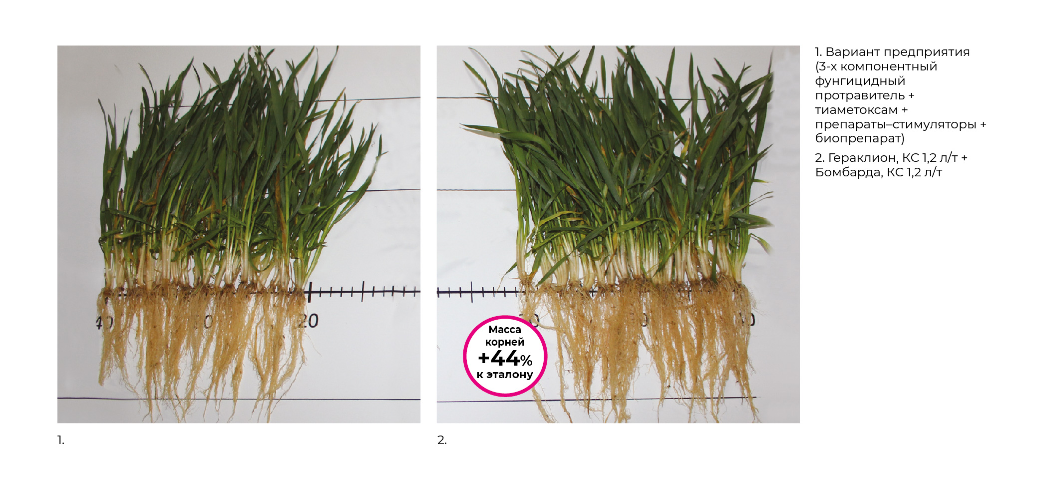 Geraklion_ (3).jpg Geraklion_ (3).jpg